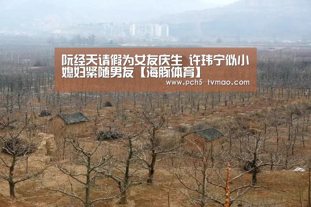 阮经天请假为女友庆生 许玮宁似小媳妇紧随男友【海豚体育】(图2) 运动平台