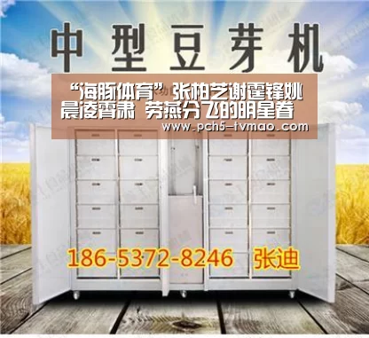 “海豚体育”张柏芝谢霆锋姚晨凌霄肃 劳燕分飞的明星眷侣(组图)(图1) 海豚体育